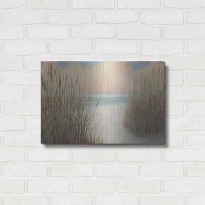 Luxe Metal Art 'Beach Trail I' by James Wiens, Metal Wall Art,24x16