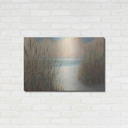 Luxe Metal Art 'Beach Trail I' by James Wiens, Metal Wall Art,36x24