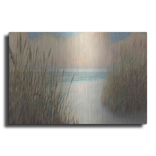 Luxe Metal Art 'Beach Trail I' by James Wiens, Metal Wall Art