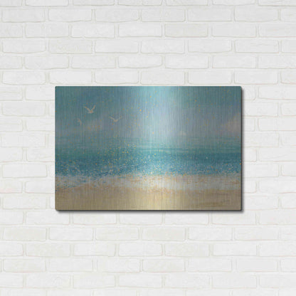 Luxe Metal Art 'Splatter Beach I' by James Wiens, Metal Wall Art,36x24