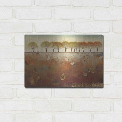 Luxe Metal Art 'Field and Forest' by James Wiens, Metal Wall Art,16x12