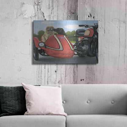 Luxe Metal Art 'Born to Be Wild Crop' by James Wiens, Metal Wall Art,36x24