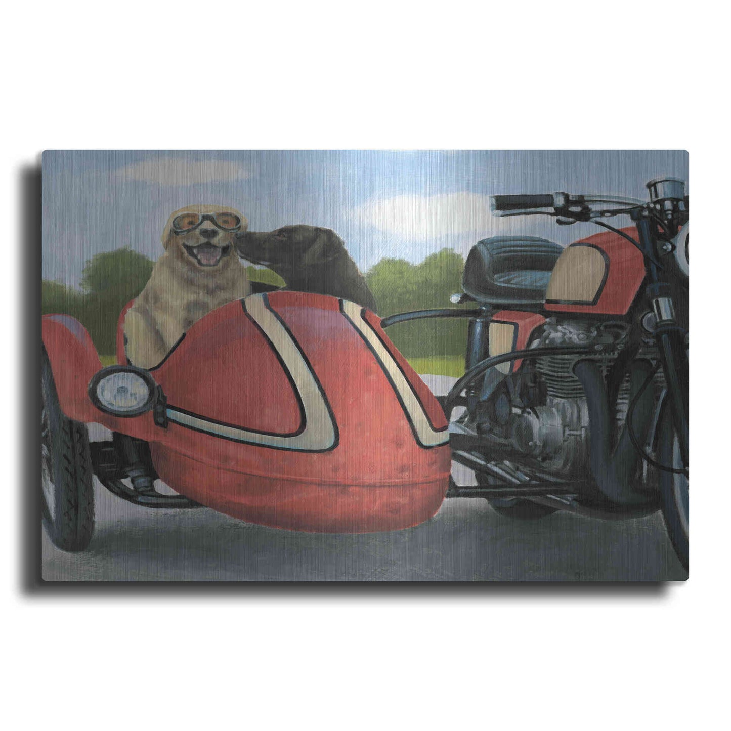 Luxe Metal Art 'Born to Be Wild Crop' by James Wiens, Metal Wall Art