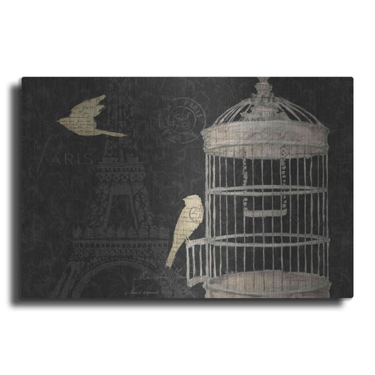 Luxe Metal Art 'Via Paris I' by James Wiens, Metal Wall Art