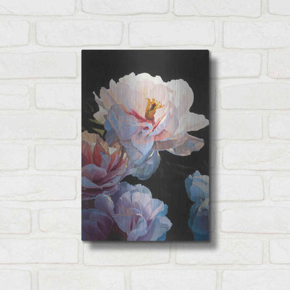 Luxe Metal Art 'Morning Glow II' by James Wiens, Metal Wall Art,12x16