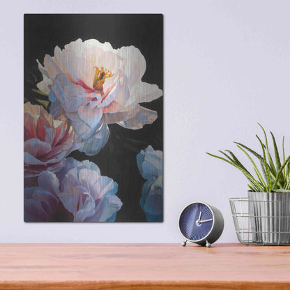 Luxe Metal Art 'Morning Glow II' by James Wiens, Metal Wall Art,12x16