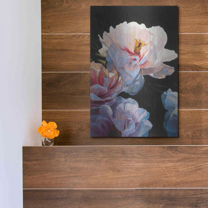 Luxe Metal Art 'Morning Glow II' by James Wiens, Metal Wall Art,12x16