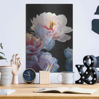 Luxe Metal Art 'Morning Glow II' by James Wiens, Metal Wall Art,12x16