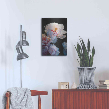 Luxe Metal Art 'Morning Glow II' by James Wiens, Metal Wall Art,16x24