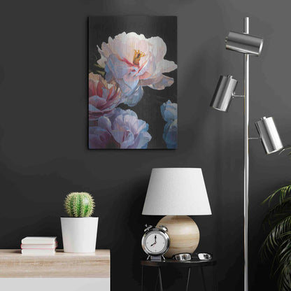 Luxe Metal Art 'Morning Glow II' by James Wiens, Metal Wall Art,16x24