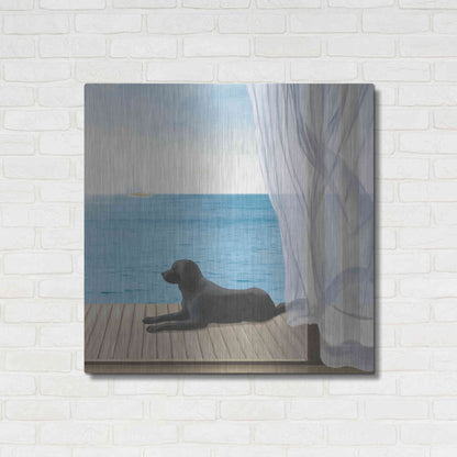 Luxe Metal Art 'Blue Breeze III' by James Wiens, Metal Wall Art,36x36