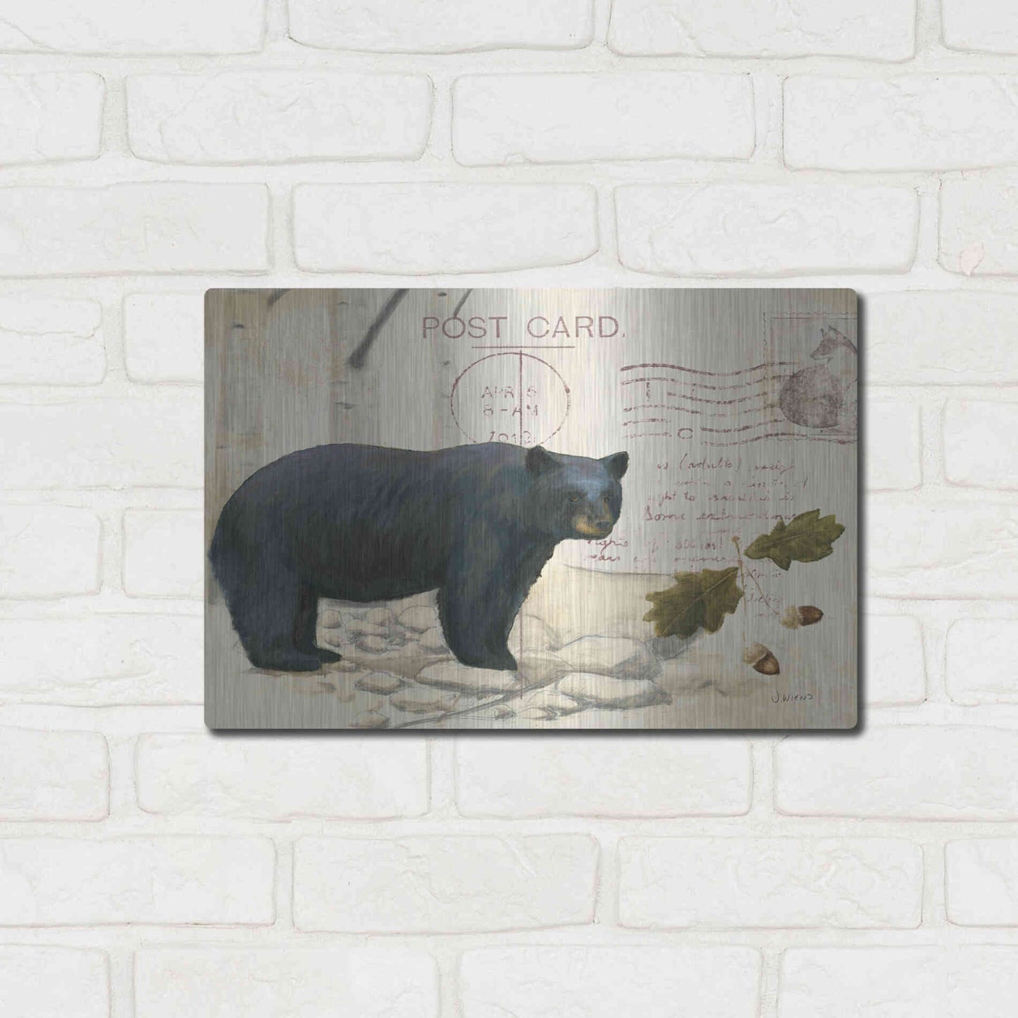 Luxe Metal Art 'Northern Wild Bear' by James Wiens, Metal Wall Art,16x12