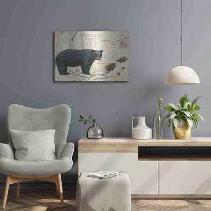Luxe Metal Art 'Northern Wild Bear' by James Wiens, Metal Wall Art,24x16