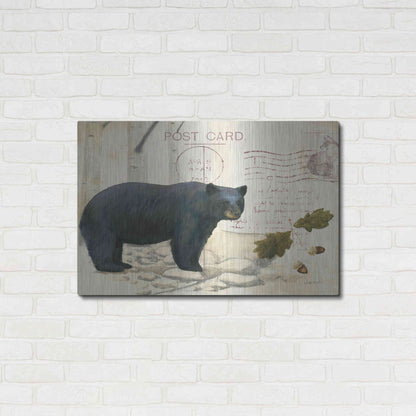 Luxe Metal Art 'Northern Wild Bear' by James Wiens, Metal Wall Art,36x24