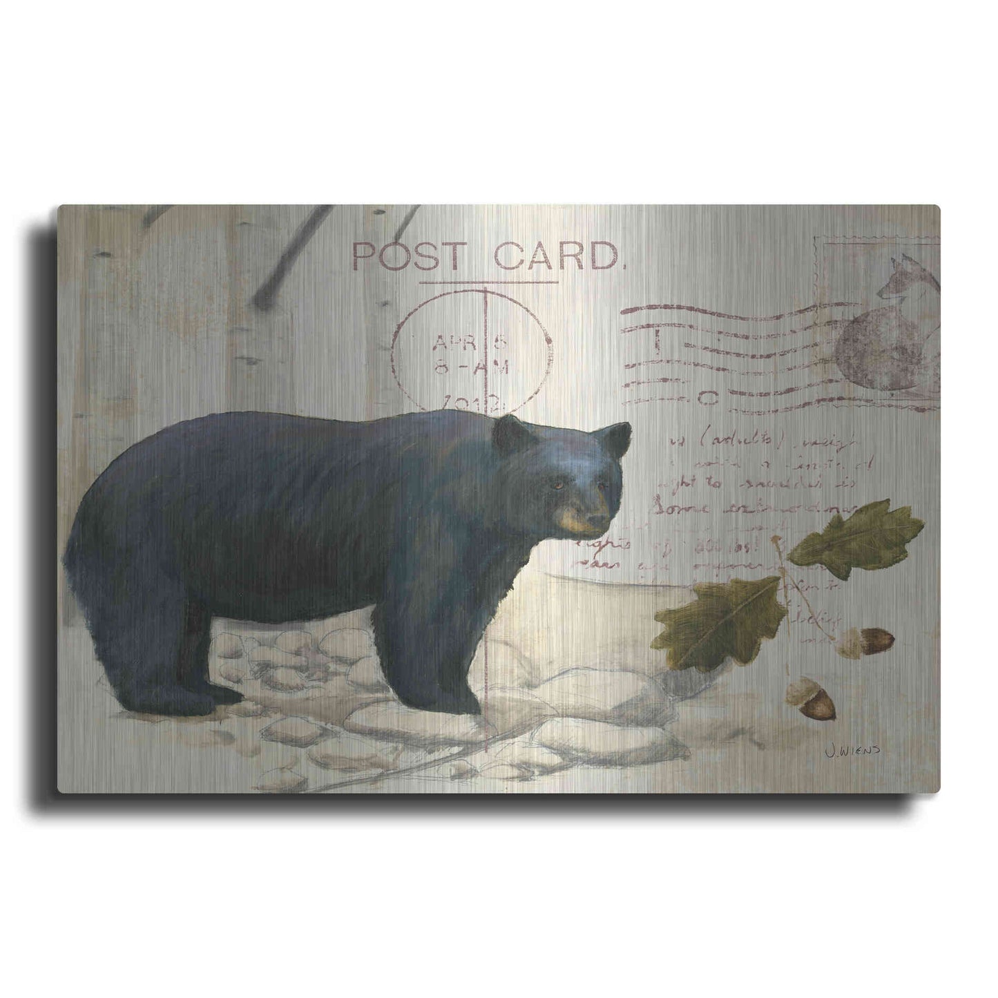 Luxe Metal Art 'Northern Wild Bear' by James Wiens, Metal Wall Art