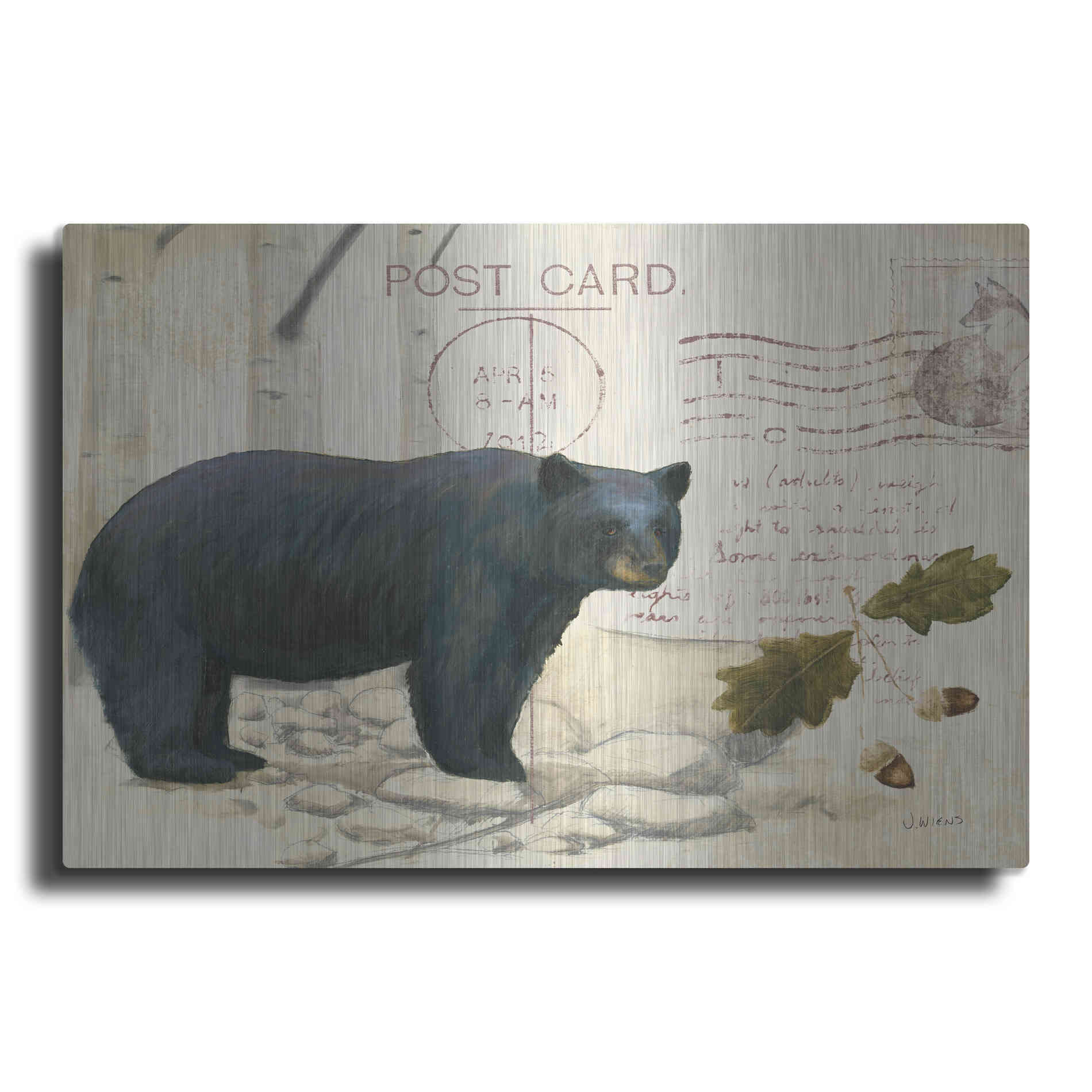 Luxe Metal Art 'Northern Wild Bear' by James Wiens, Metal Wall Art