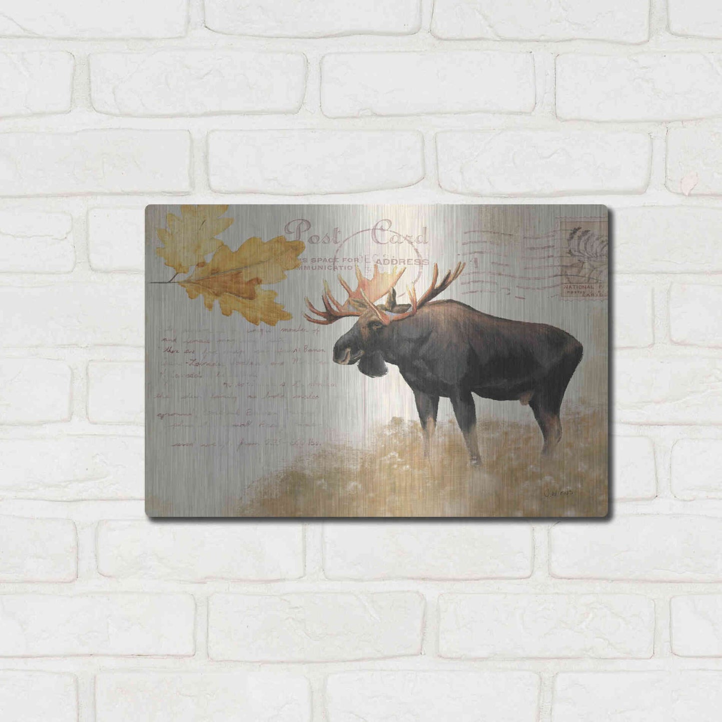 Luxe Metal Art 'Northern Wild Moose' by James Wiens, Metal Wall Art,16x12