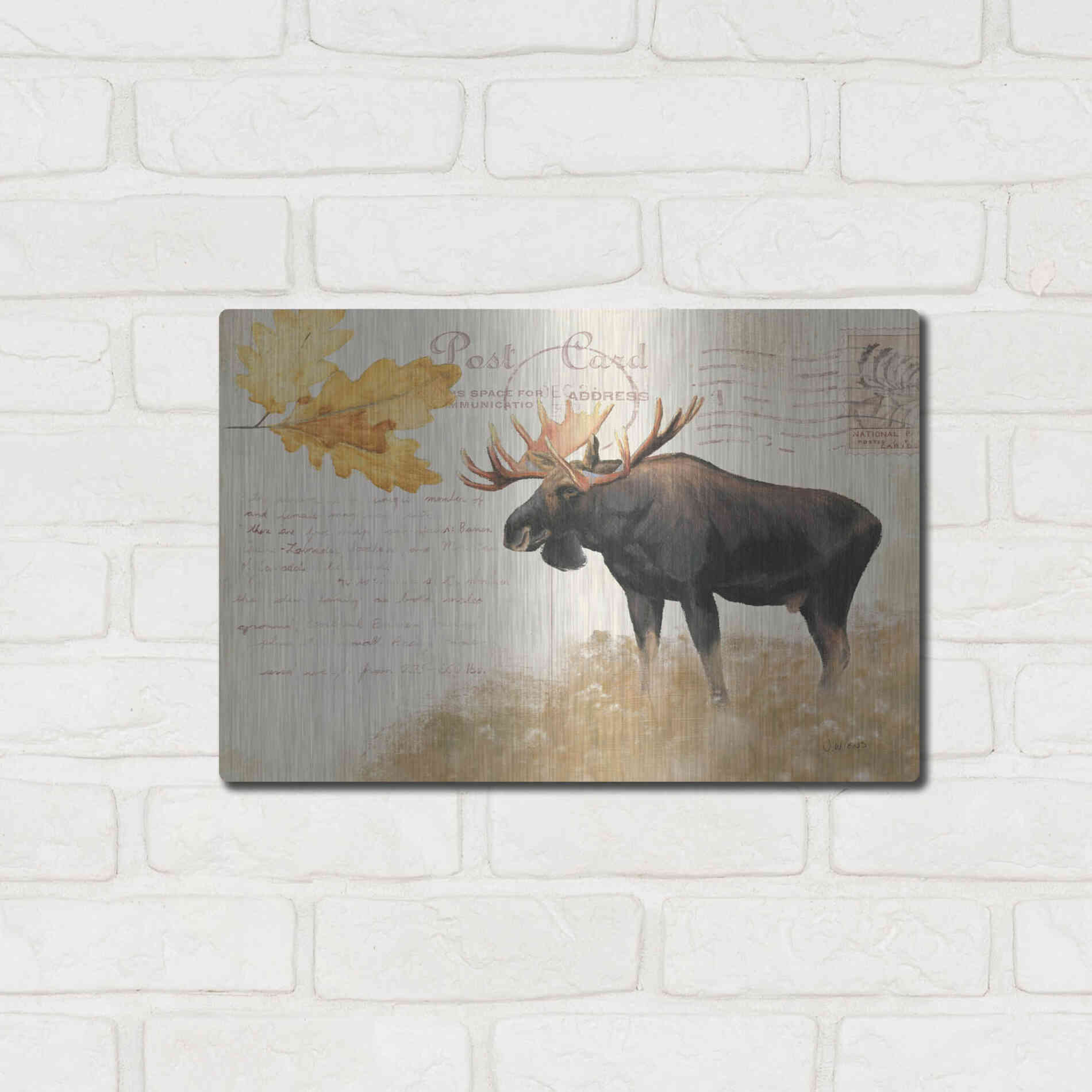 Luxe Metal Art 'Northern Wild Moose' by James Wiens, Metal Wall Art,16x12