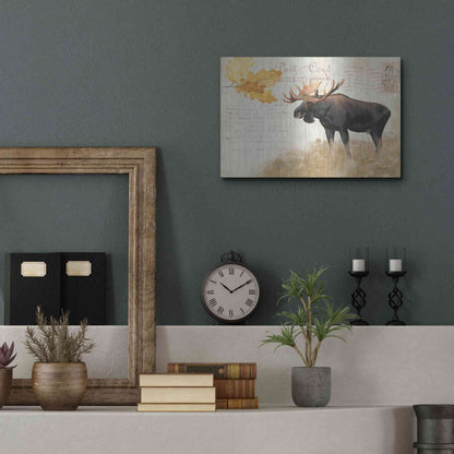 Luxe Metal Art 'Northern Wild Moose' by James Wiens, Metal Wall Art,16x12