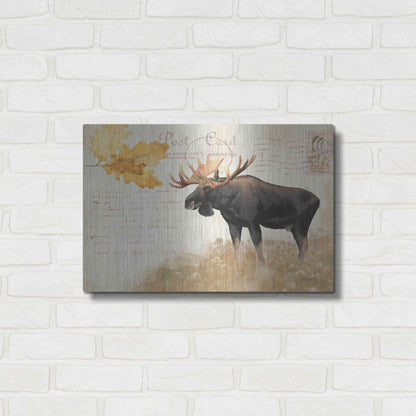 Luxe Metal Art 'Northern Wild Moose' by James Wiens, Metal Wall Art,24x16