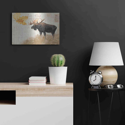 Luxe Metal Art 'Northern Wild Moose' by James Wiens, Metal Wall Art,24x16