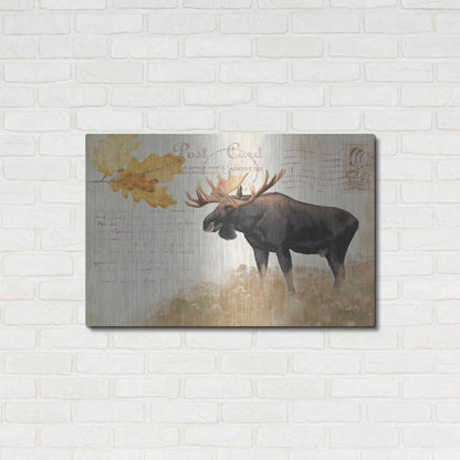 Luxe Metal Art 'Northern Wild Moose' by James Wiens, Metal Wall Art,36x24