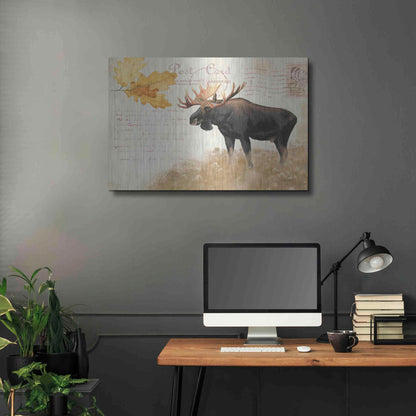 Luxe Metal Art 'Northern Wild Moose' by James Wiens, Metal Wall Art,36x24