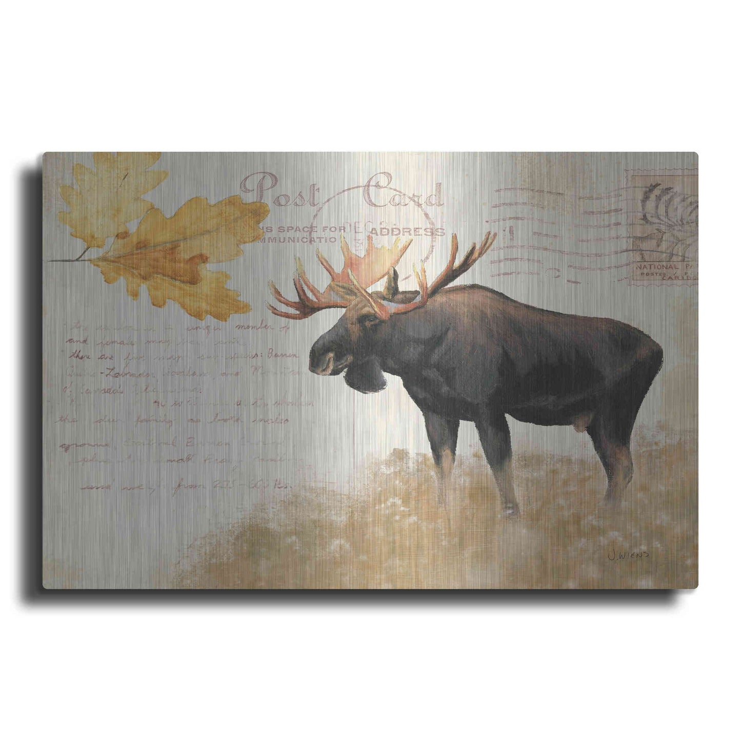 Luxe Metal Art 'Northern Wild Moose' by James Wiens, Metal Wall Art