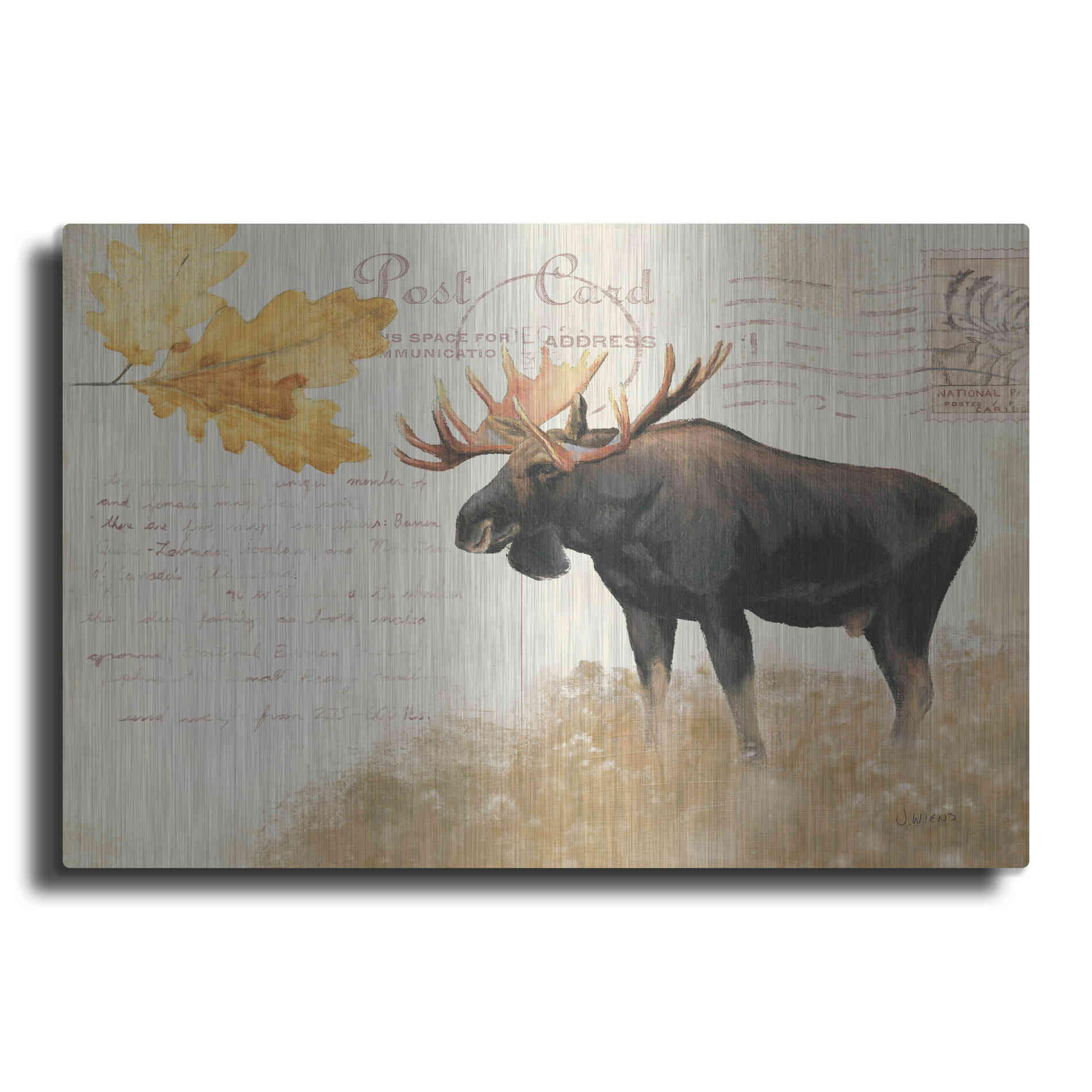 Luxe Metal Art 'Northern Wild Moose' by James Wiens, Metal Wall Art