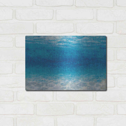 Luxe Metal Art 'Underwater I' by James Wiens, Metal Wall Art,16x12