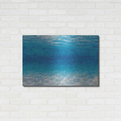 Luxe Metal Art 'Underwater I' by James Wiens, Metal Wall Art,36x24