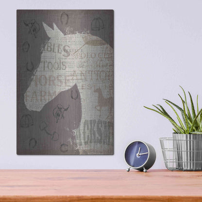 Luxe Metal Art 'Equine III' by James Wiens, Metal Wall Art,12x16