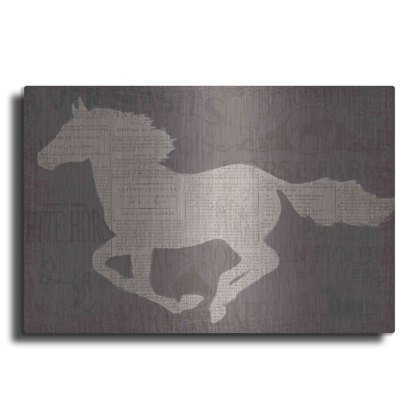 Luxe Metal Art 'Equine I' by James Wiens, Metal Wall Art