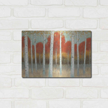 Luxe Metal Art 'Fall Promenade I' by James Wiens, Metal Wall Art,16x12
