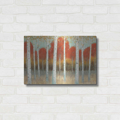 Luxe Metal Art 'Fall Promenade I' by James Wiens, Metal Wall Art,24x16