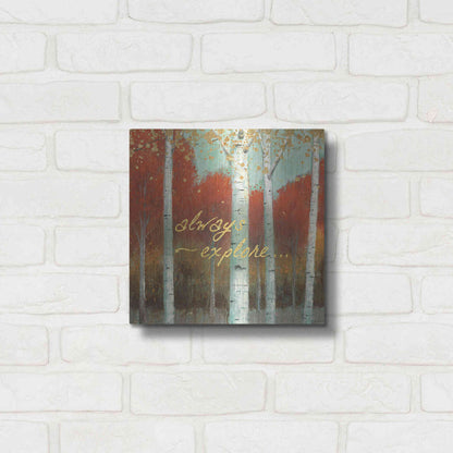 Luxe Metal Art 'Fall Promenade III' by James Wiens, Metal Wall Art,12x12