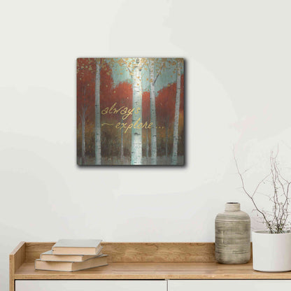 Luxe Metal Art 'Fall Promenade III' by James Wiens, Metal Wall Art,12x12