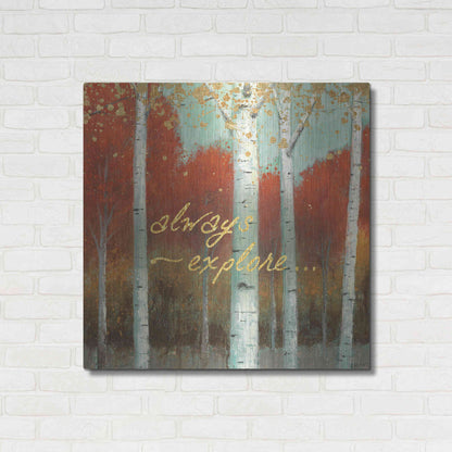 Luxe Metal Art 'Fall Promenade III' by James Wiens, Metal Wall Art,36x36