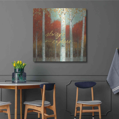 Luxe Metal Art 'Fall Promenade III' by James Wiens, Metal Wall Art,36x36