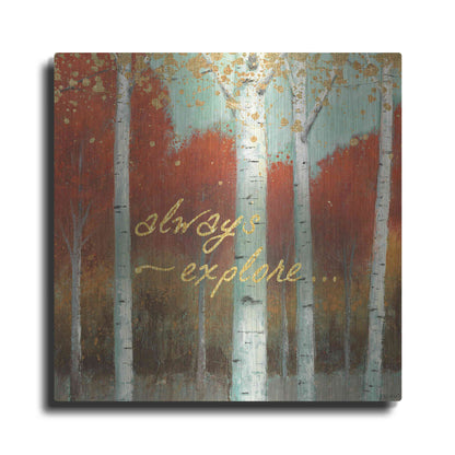 Luxe Metal Art 'Fall Promenade III' by James Wiens, Metal Wall Art