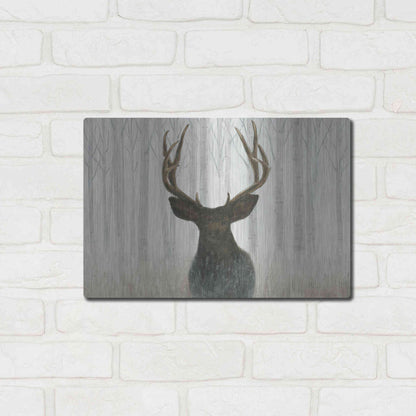 Luxe Metal Art 'Into the Forest' by James Wiens, Metal Wall Art,16x12