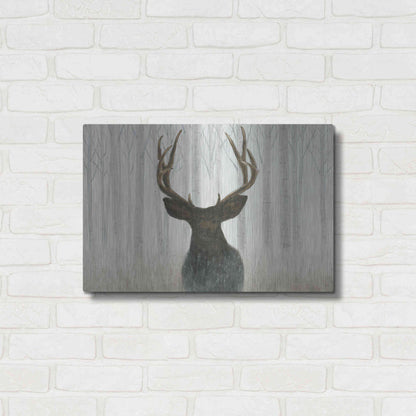 Luxe Metal Art 'Into the Forest' by James Wiens, Metal Wall Art,24x16