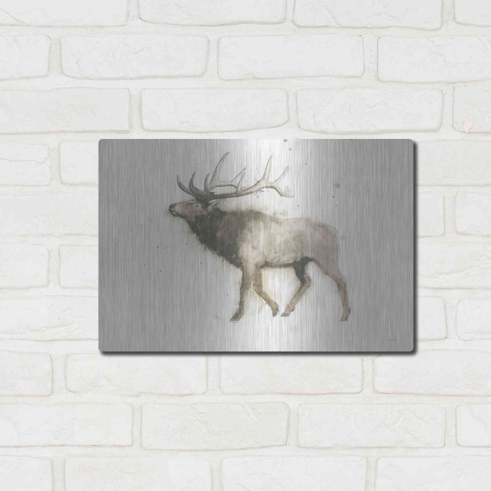 Luxe Metal Art 'Elk' by James Wiens, Metal Wall Art,16x12