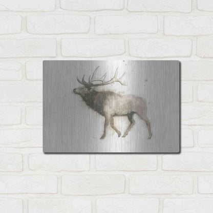 Luxe Metal Art 'Elk' by James Wiens, Metal Wall Art,16x12