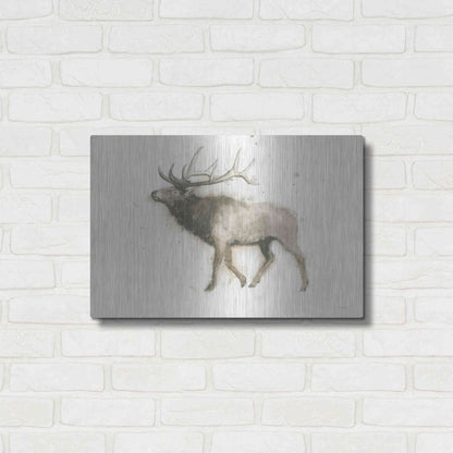 Luxe Metal Art 'Elk' by James Wiens, Metal Wall Art,24x16