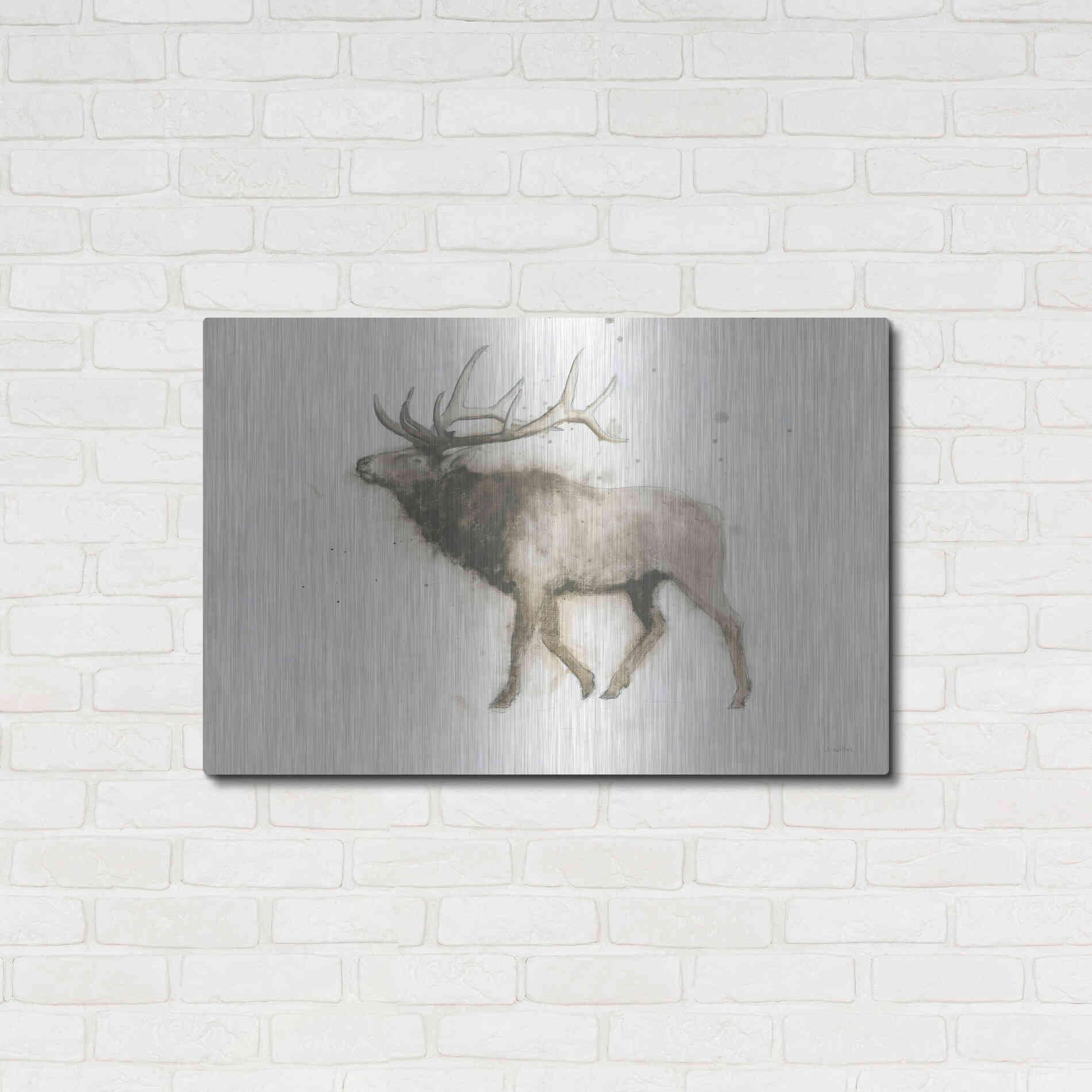 Luxe Metal Art 'Elk' by James Wiens, Metal Wall Art,36x24
