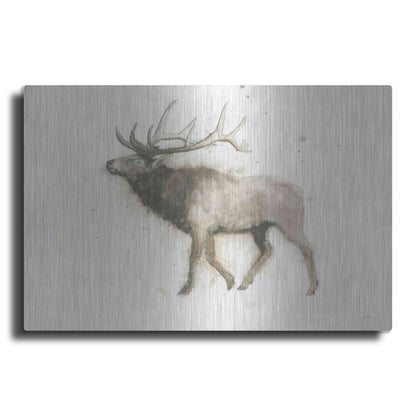 Luxe Metal Art 'Elk' by James Wiens, Metal Wall Art