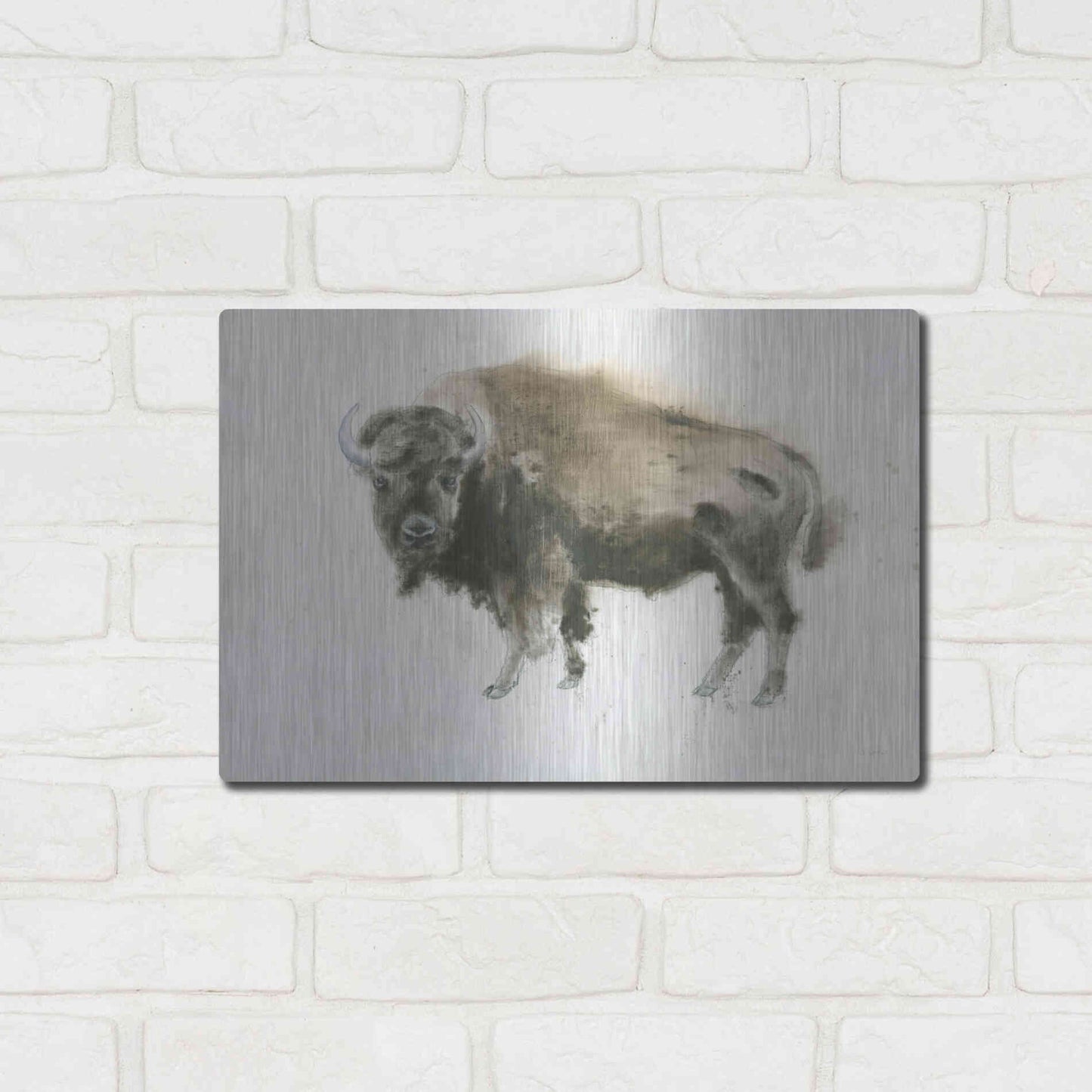 Luxe Metal Art 'Buffalo Bill' by James Wiens, Metal Wall Art,16x12