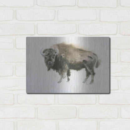 Luxe Metal Art 'Buffalo Bill' by James Wiens, Metal Wall Art,16x12