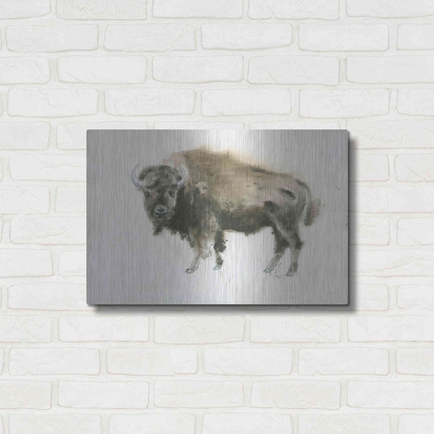 Luxe Metal Art 'Buffalo Bill' by James Wiens, Metal Wall Art,24x16